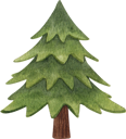 پیش‌نمایش فایل evergreen-tree-7192361 از پک خرید