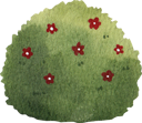 پیش‌نمایش فایل flower-bush-7192364 از پک خرید