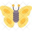 پیش‌نمایش فایل butterfly-8384012 از پک حیوانات