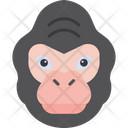 پیش‌نمایش فایل gorilla-8384030 از پک حیوانات