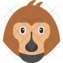 پیش‌نمایش فایل monkey-8384039 از پک حیوانات