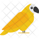 پیش‌نمایش فایل parrot-8384045 از پک حیوانات