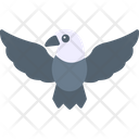 پیش‌نمایش فایل pigeon-8384046 از پک حیوانات