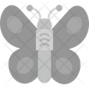 پیش‌نمایش فایل butterfly-8384113 از پک حیوانات