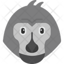 پیش‌نمایش فایل monkey-8384139 از پک حیوانات
