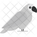 پیش‌نمایش فایل parrot-8384145 از پک حیوانات