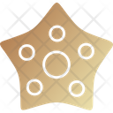 پیش‌نمایش فایل starfish-8384505 از پک حیوانات