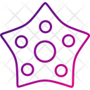 پیش‌نمایش فایل starfish-8384455 از پک حیوانات