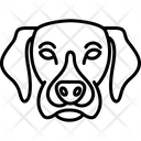پیش‌نمایش فایل dog-8538736 از پک پرندگان و باغ وحش