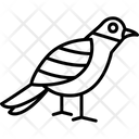 پیش‌نمایش فایل sparrow-8538771 از پک پرندگان و باغ وحش