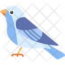 پیش‌نمایش فایل bird-8538875 از پک پرندگان و باغ وحش
