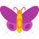 پیش‌نمایش فایل butterfly-8538880 از پک پرندگان و باغ وحش