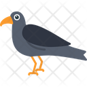 پیش‌نمایش فایل crow-8538885 از پک پرندگان و باغ وحش
