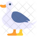 پیش‌نمایش فایل duck-8538889 از پک پرندگان و باغ وحش