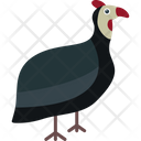 پیش‌نمایش فایل guineafowl-8538896 از پک پرندگان و باغ وحش