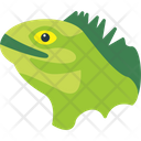 پیش‌نمایش فایل iguana-8538905 از پک پرندگان و باغ وحش