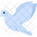 پیش‌نمایش فایل pigeon-8538915 از پک پرندگان و باغ وحش