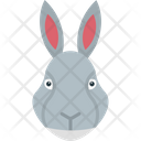 پیش‌نمایش فایل rabbit-8538916 از پک پرندگان و باغ وحش