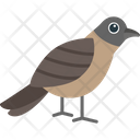 پیش‌نمایش فایل sparrow-8538921 از پک پرندگان و باغ وحش