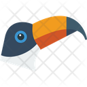 پیش‌نمایش فایل toucan-8538923 از پک پرندگان و باغ وحش