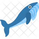 پیش‌نمایش فایل whale-8538924 از پک پرندگان و باغ وحش