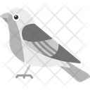 پیش‌نمایش فایل bird-8538975 از پک پرندگان و باغ وحش