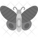 پیش‌نمایش فایل butterfly-8538980 از پک پرندگان و باغ وحش