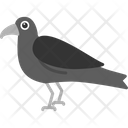پیش‌نمایش فایل crow-8538985 از پک پرندگان و باغ وحش