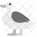پیش‌نمایش فایل duck-8538989 از پک پرندگان و باغ وحش