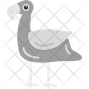 پیش‌نمایش فایل flamingo-8538993 از پک پرندگان و باغ وحش