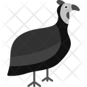 پیش‌نمایش فایل guineafowl-8538996 از پک پرندگان و باغ وحش