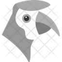 پیش‌نمایش فایل hornbill-8539002 از پک پرندگان و باغ وحش