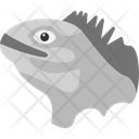 پیش‌نمایش فایل iguana-8539005 از پک پرندگان و باغ وحش