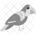 پیش‌نمایش فایل parrot-8539013 از پک پرندگان و باغ وحش