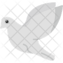 پیش‌نمایش فایل pigeon-8539015 از پک پرندگان و باغ وحش