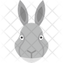 پیش‌نمایش فایل rabbit-8539016 از پک پرندگان و باغ وحش