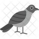 پیش‌نمایش فایل sparrow-8539021 از پک پرندگان و باغ وحش