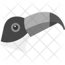 پیش‌نمایش فایل toucan-8539023 از پک پرندگان و باغ وحش