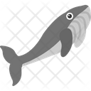 پیش‌نمایش فایل whale-8539024 از پک پرندگان و باغ وحش
