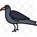 پیش‌نمایش فایل crow-8538835 از پک پرندگان و باغ وحش