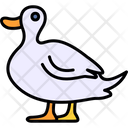 پیش‌نمایش فایل duck-8538839 از پک پرندگان و باغ وحش