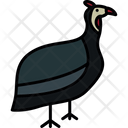 پیش‌نمایش فایل guineafowl-8538846 از پک پرندگان و باغ وحش