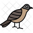 پیش‌نمایش فایل sparrow-8538871 از پک پرندگان و باغ وحش