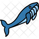 پیش‌نمایش فایل whale-8538874 از پک پرندگان و باغ وحش