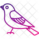 پیش‌نمایش فایل bird-8539025 از پک پرندگان و باغ وحش