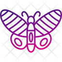 پیش‌نمایش فایل butterfly-8539030 از پک پرندگان و باغ وحش