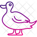 پیش‌نمایش فایل duck-8539039 از پک پرندگان و باغ وحش