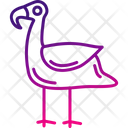 پیش‌نمایش فایل flamingo-8539043 از پک پرندگان و باغ وحش