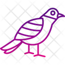 پیش‌نمایش فایل sparrow-8539071 از پک پرندگان و باغ وحش