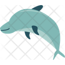 پیش‌نمایش فایل dolphin-8443566 از پک زندگی جانوری دریایی